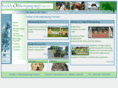 teddyoshowjumpingfences.com
