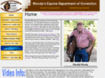woodys-equine-department-of-correction.com