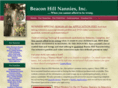 beaconhillnannies.com
