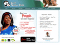 swiftpenpal.com
