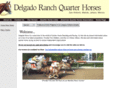 myracehorses.net
