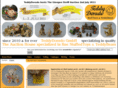 teddydorado.com
