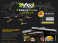 2advanceweb.com