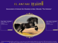 elantari.com