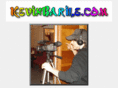 kevinbarile.com