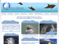dolphinlab.net