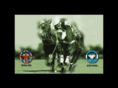 falconhelmets.com