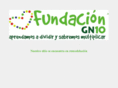 fundaciongn10.com