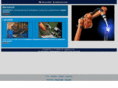 gsrobotica.com
