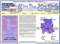 minibushirederby.com