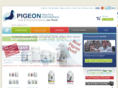 pigeonperformancestore.com