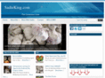 sadieking.com