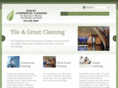 walshcleaning.com