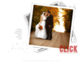 clickweddingphotography.com