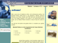 pottery.net