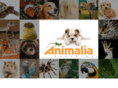 animaliamagazine.com