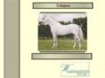 calypsoandalusian.com