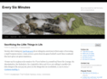 mindbodyplay.net