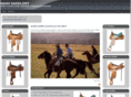 nashsaddlery.com