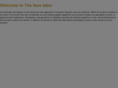 thefacelabs.com