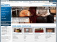 hayneedlebedandbath.com