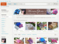 morninglorias.com