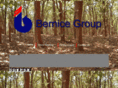 bernicegroup.com