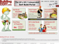 buildinganddiy.com
