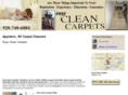 easycleancarpets.com