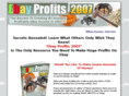 ebayprofits2007.com