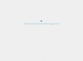 exceldeveloppement.com