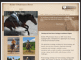 rockingperformancehorses.com