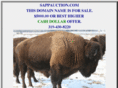 sappauction.com