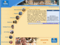 tesolindia.com