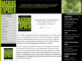webhackingexposed.com