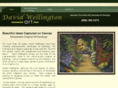 davidwellingtonart.com