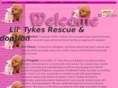 liltykesrescue.com