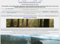 northwestpacificproperties.com