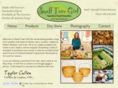 stgnantucket.com