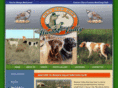 washoevalleybirddogclub.com