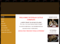 bbqcateringflorida.com