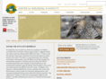 murrelet.org