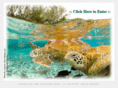 saveourseaturtles.org