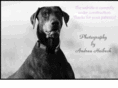 andreaheibeck.com