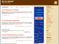 bilgisehri.net
