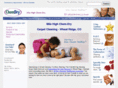 carpet-cleaning-wheat-ridge.com