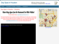 dayspasinhouston.com