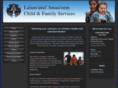 ls-cfs.com