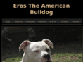 the-american-bulldog.com