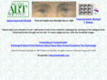 artshuttle.com